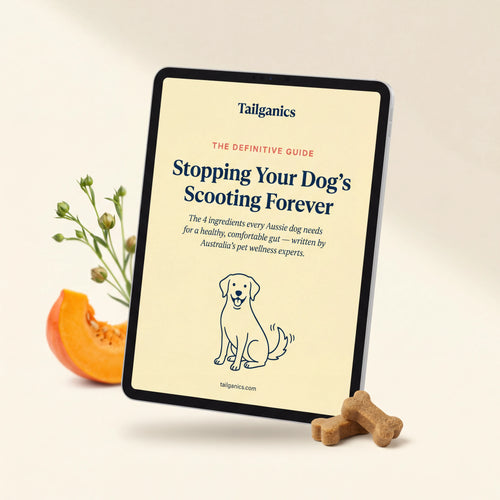 The Scooting Solution — Digital Guide