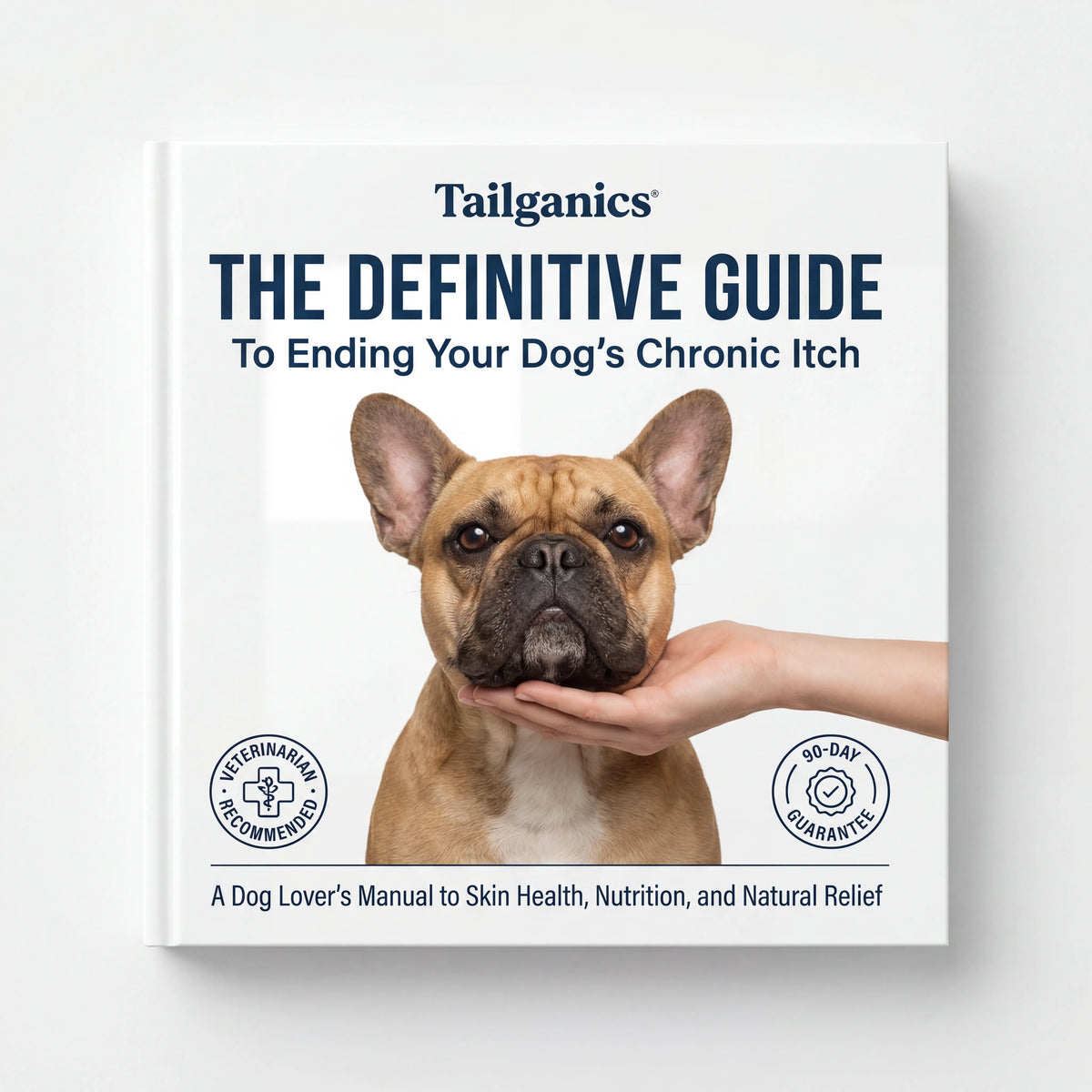 The Guide to Itch-Free Dogs