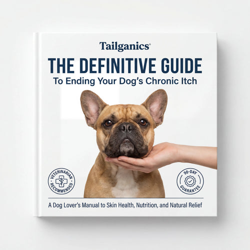 The Guide to Itch-Free Dogs