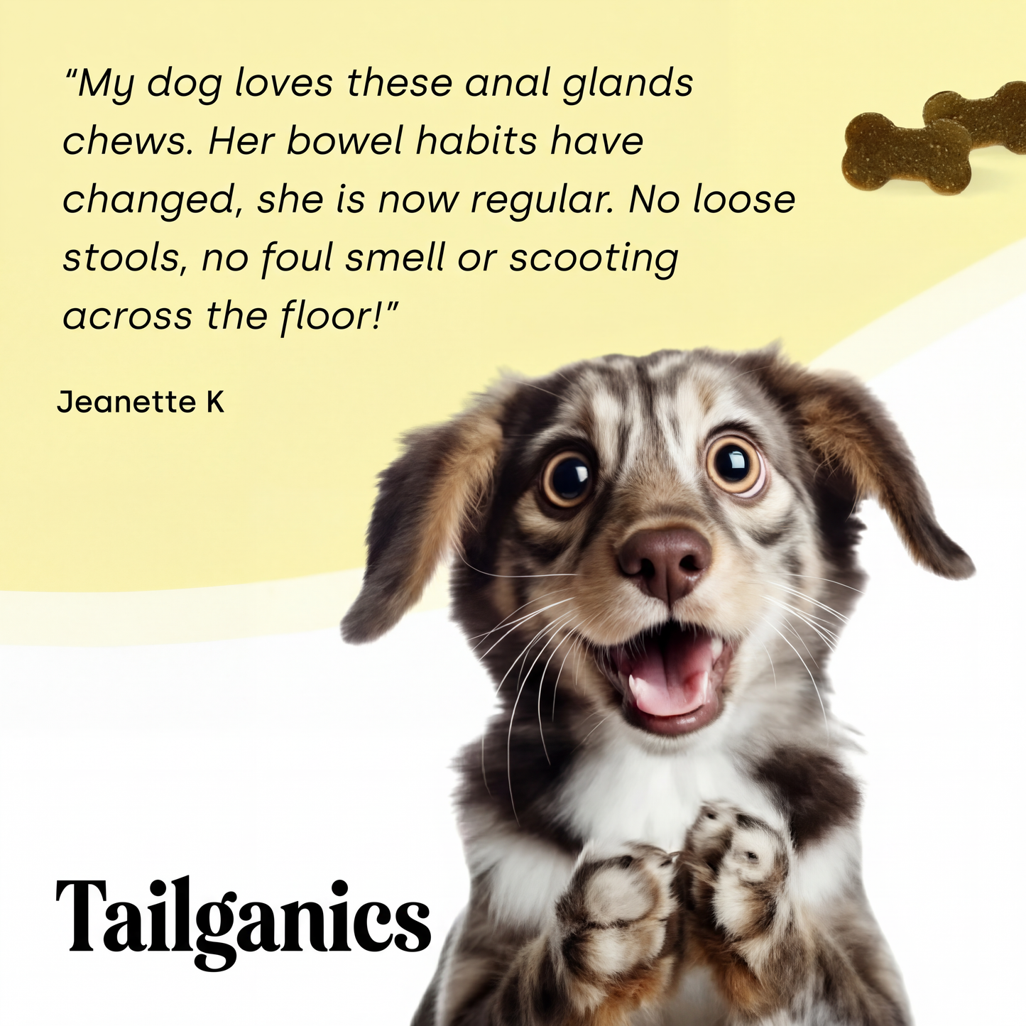 Tailganics™ Scooting & Odour Relief Chews